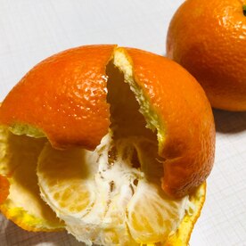 オレンジピール 伊予柑の皮で美味しく お菓子にも レシピ 作り方 By 善ちゃん 楽天レシピ オレンジピール 伊予柑の皮で美味しく お菓子にも レシピ 作り方 By 善ちゃん 楽天レシピ